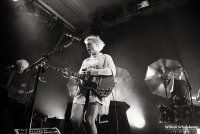 Wallis Bird