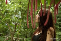 Josephine van Schaik