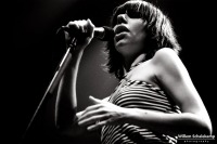 Polly Jean Harvey (PJ Harvey)