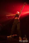 BROODS