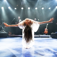 Dreaming Of Kate, Maaike Breijman