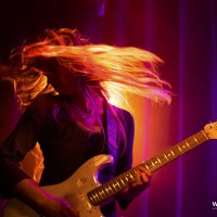 Lime Garden @ Paradiso