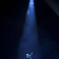 Lykke Li @ Carré, Amsterdam