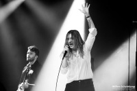 Marmozets