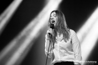 Marmozets