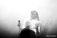Marmozets
