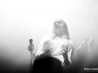 Marmozets
