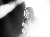 Marmozets