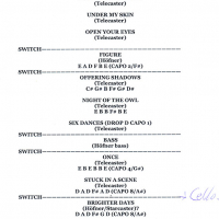 The Visual @ Bitterzoet