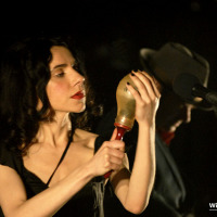 PJ Harvey and John Parish